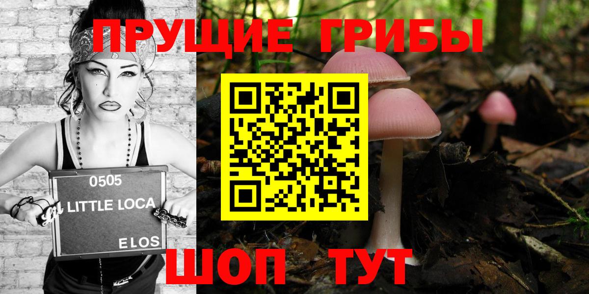 Всеволожск  Псилоцибиновые грибы прущие грибы  Вход с VPN 